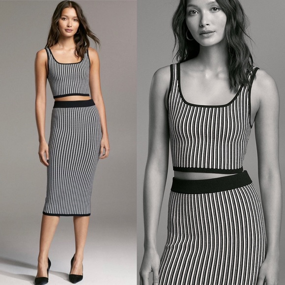 Aritzia Babaton Striped Set- Sculpt Knit Tank & Bodycon Tube Midi Skirt - Picture 1 of 11